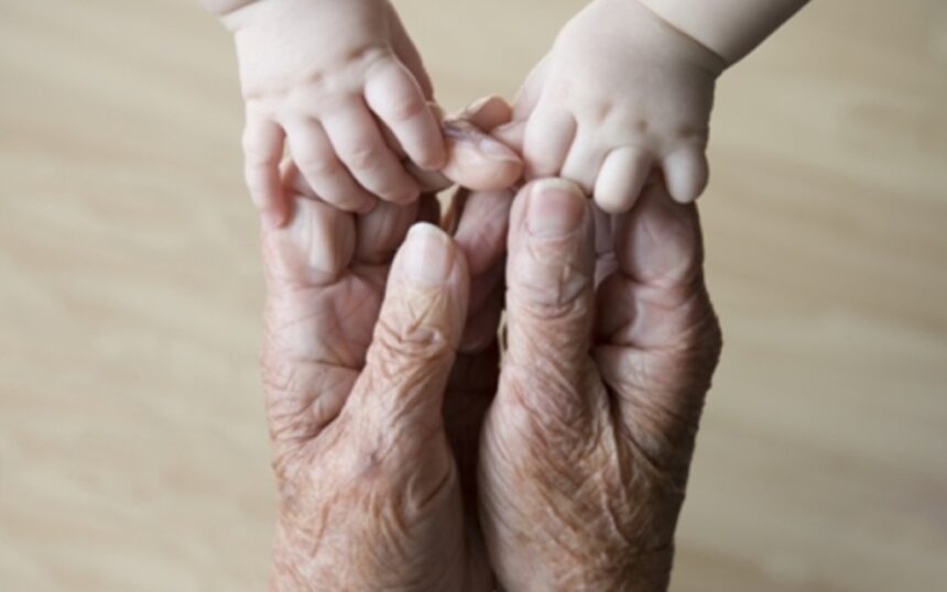 respect life birth to death