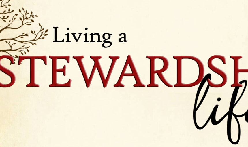 stewardship_logo
