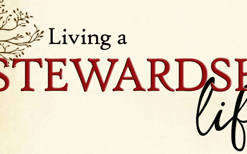 stewardship_logo