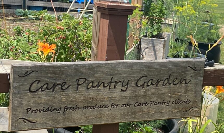 SO-Care Pantry Garden, 7.16.23