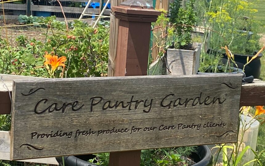 SO-Care Pantry Garden, 7.16.23