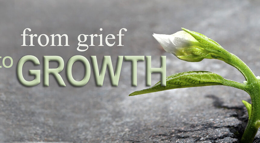 Little flower sprout grows through urban asphalt ground